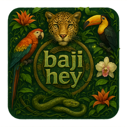 baji hey logo